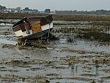 Images Of  Sussex